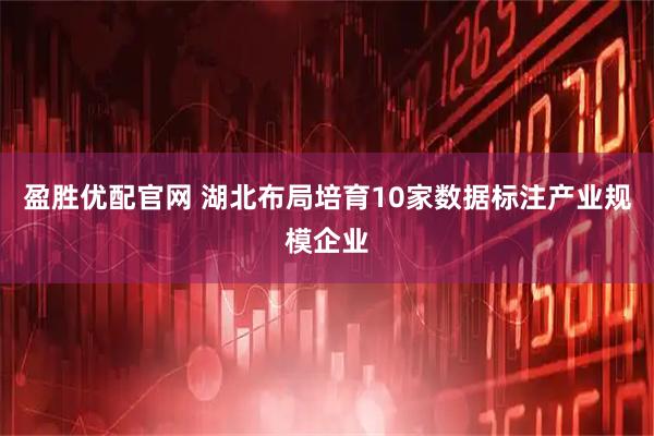 盈胜优配官网 湖北布局培育10家数据标注产业规模企业
